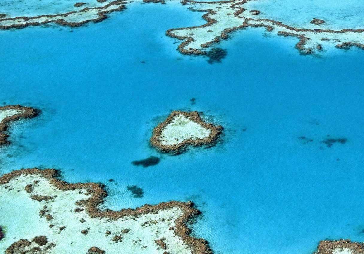 Barrier Reef in Australia